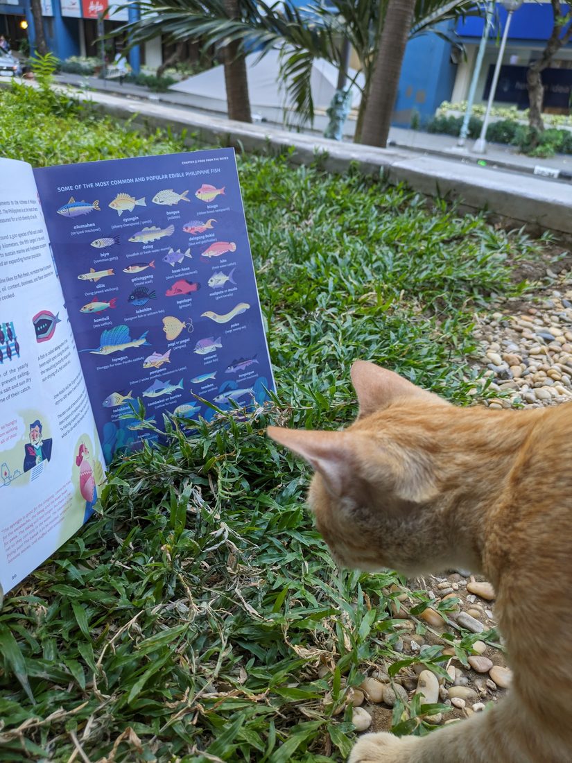 The open children's book about Filipino foods, held up beside a curious street cat.
