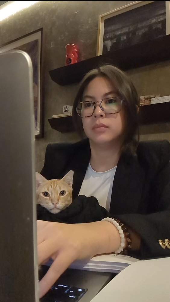 Paulina working at her desk, a cat perched on her arm.